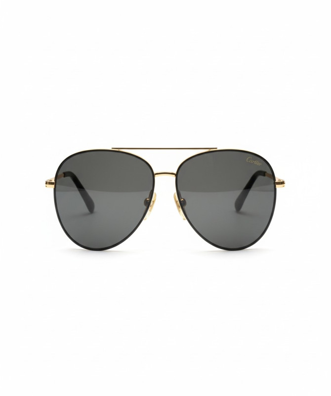 John Dalia Samuel C100/C114 Sunglasses – Geometric Gold Frame