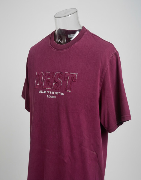 Diesel Duncan T-Shirt – Men’s Organic Cotton Embroidered Tee (Fig)